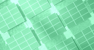 2023 Trends: Organisations Will Prioritise Sustainability as Part of Application Design