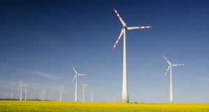 2024 Trends: Exploring Sustainability in Technology